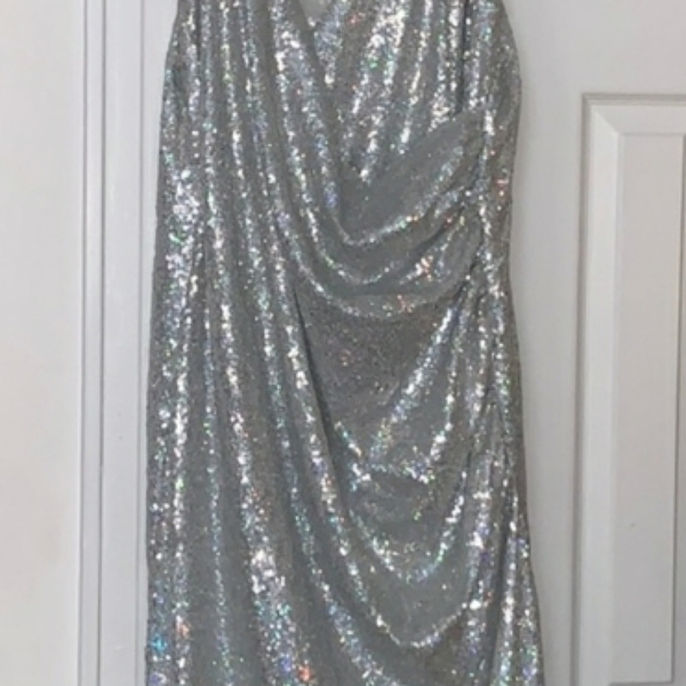 Size 22 Silver Sequin Gown